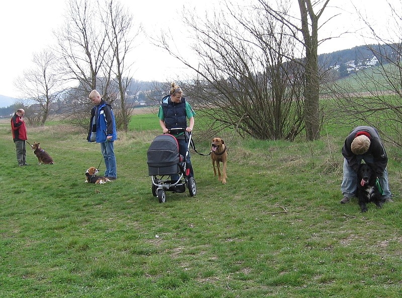 Img0184.JPG