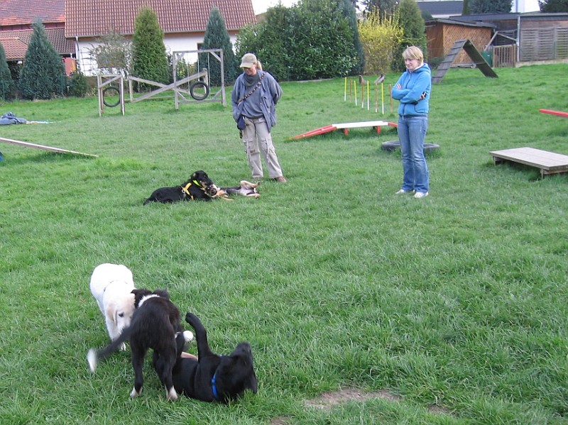 Img0190.JPG