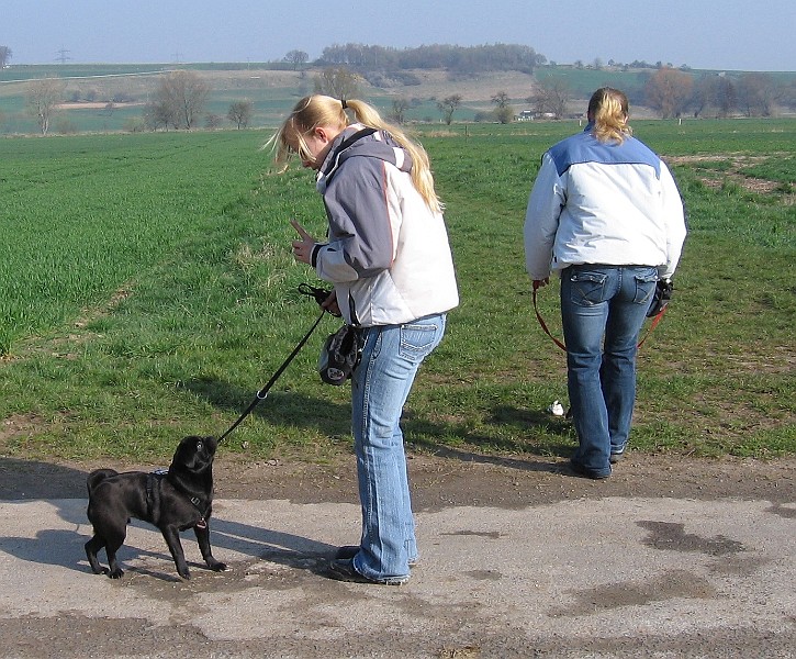 Img0203.JPG