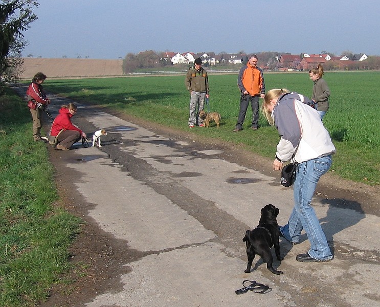 Img0204.JPG
