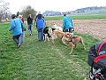 Img0178