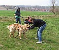 Img0185