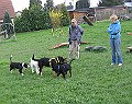 Img0191