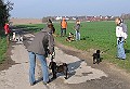 Img0206