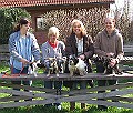 Img0215