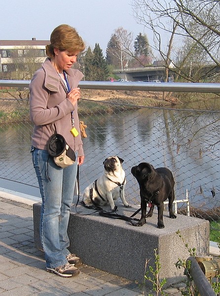 Img0254.JPG