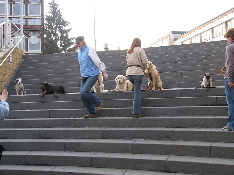 Img0262.JPG