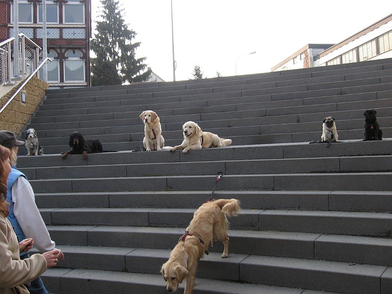 Img0264.JPG