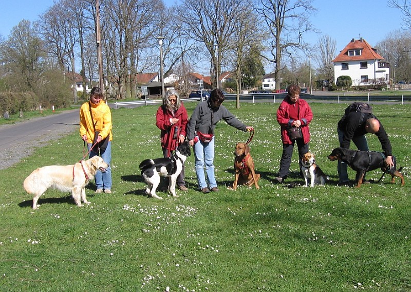 Img0267.JPG