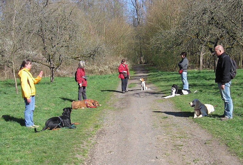 Img0283.JPG