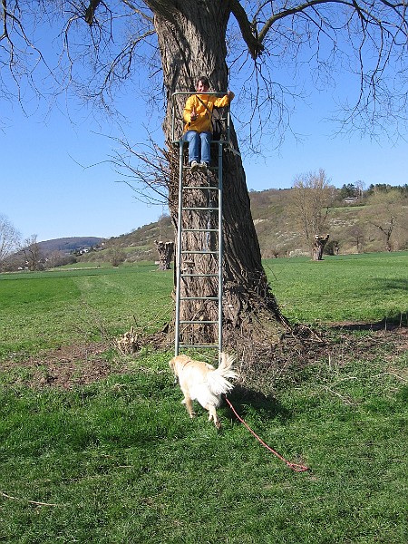 Img0294.JPG