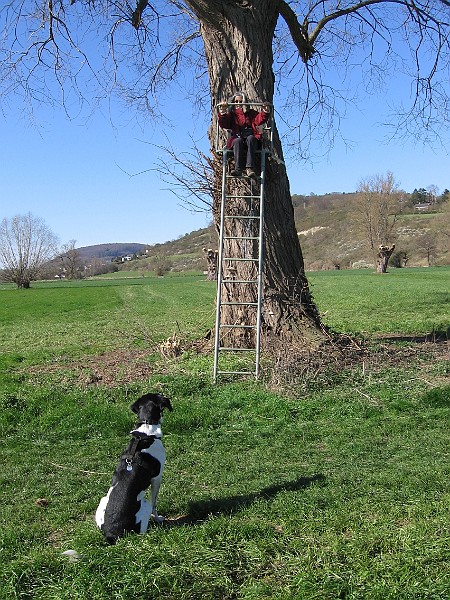 Img0296.JPG
