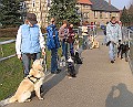 Img0248