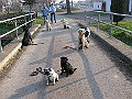 Img0260