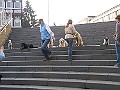 Img0262