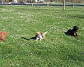 Img0279