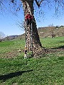 Img0293