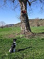 Img0296