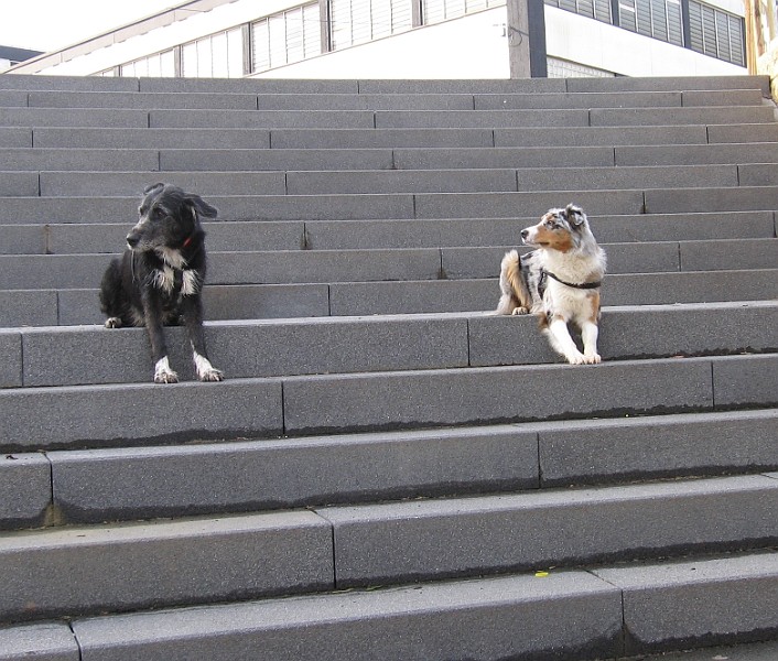 Img0382.JPG