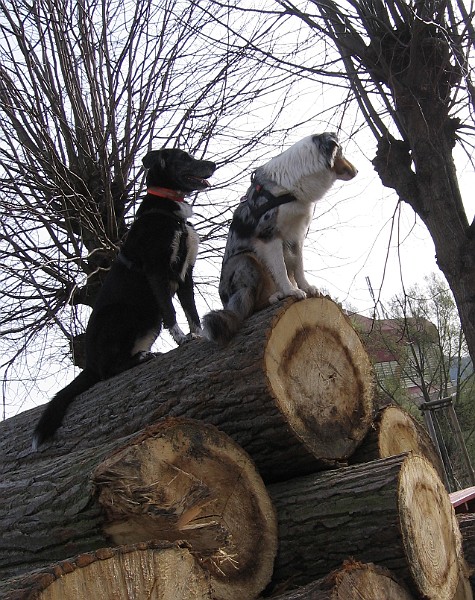 Img0387.JPG
