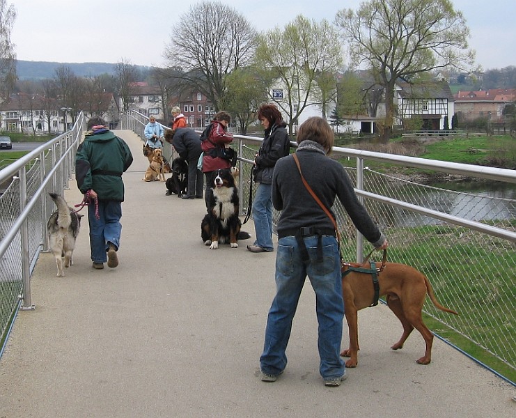 Img0398.JPG