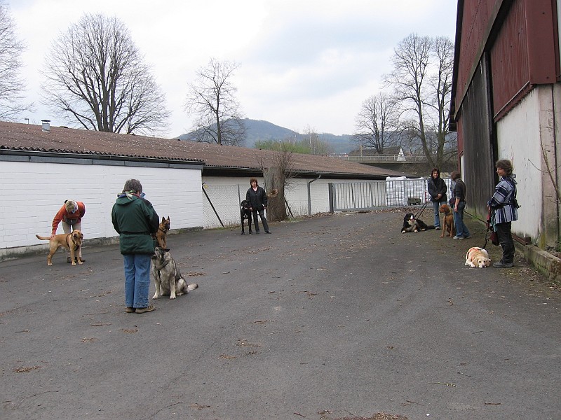 Img0404.JPG