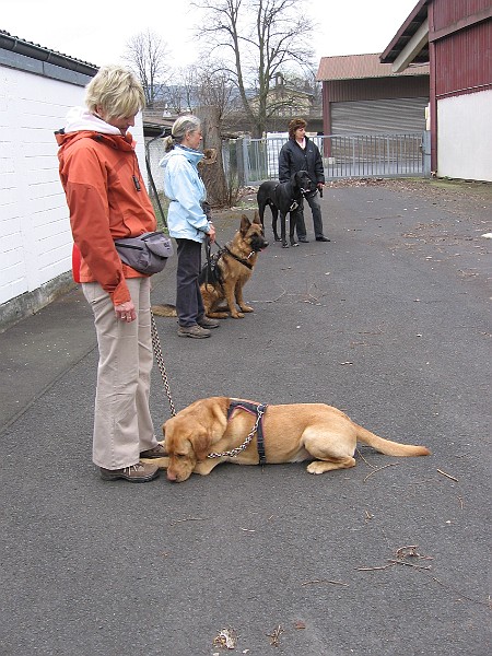 Img0408.JPG