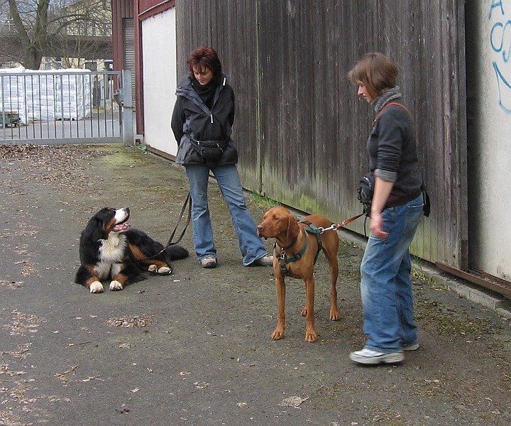 Img0410.JPG