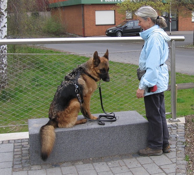 Img0419.JPG