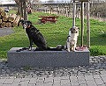 Img0380