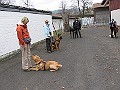 Img0407