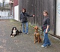 Img0411