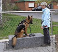 Img0419