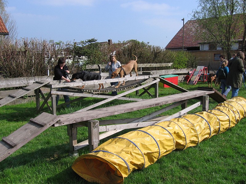 Img0420.jpg