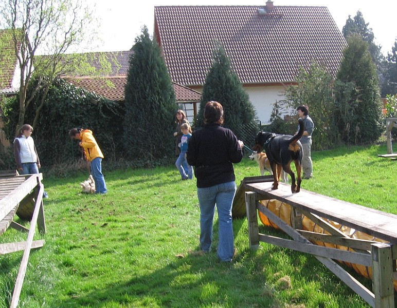 Img0422.jpg