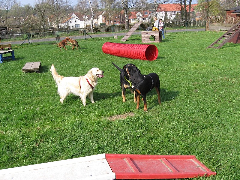 Img0426.jpg