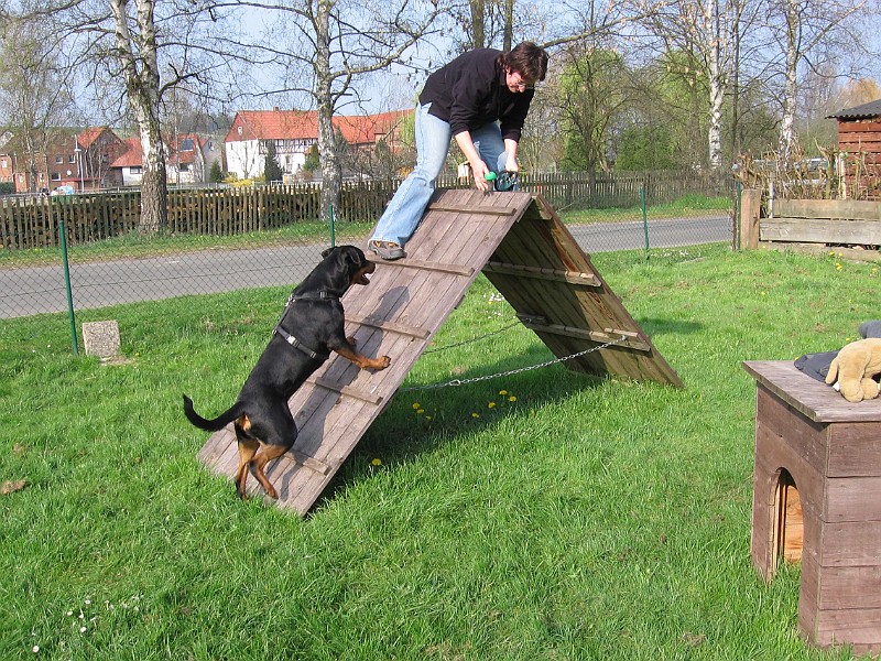 Img0434.jpg