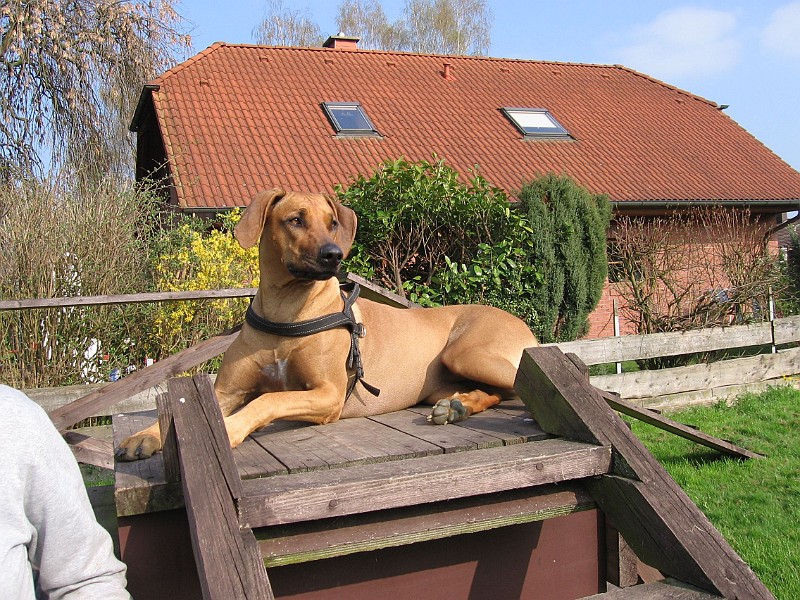 Img0439.jpg