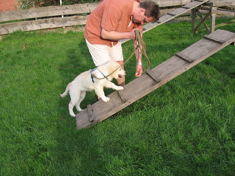 Img0452.jpg