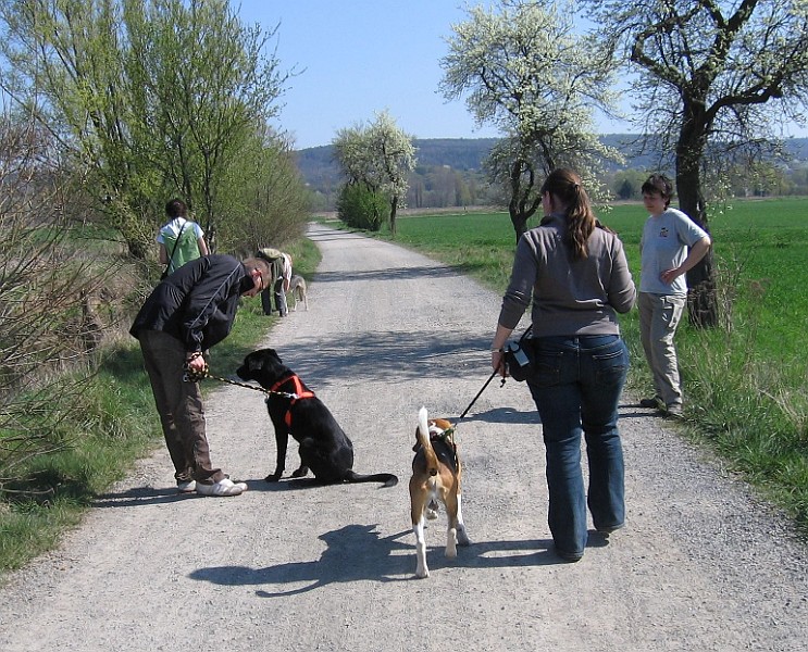 Img0455.jpg