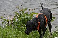 IMG_6999-200705-wkw