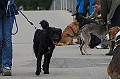 IMG_7026-200705-wkw