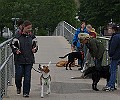 IMG_7027-200705-wkw