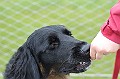 IMG_7120-200705-wkw