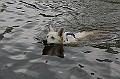 IMG_7145-200705-wkw