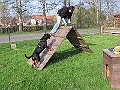 Img0434