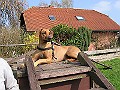 Img0439