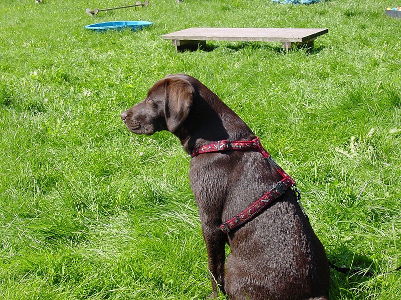 DSC02930.jpg