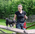DSC02856