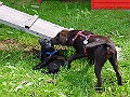 DSC02876